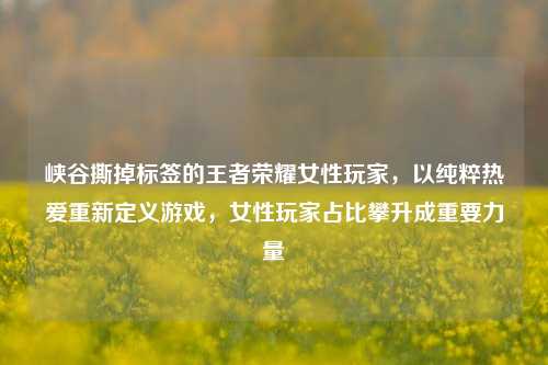 峡谷撕掉标签的王者荣耀女性玩家,以纯粹热爱重新定义游戏,女性玩家占比攀升成重要力量