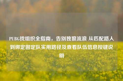 PUBG找组织全指南,告别独狼流浪 从匹配路人到绑定固定队实用路径及查看队伍信息按键说明