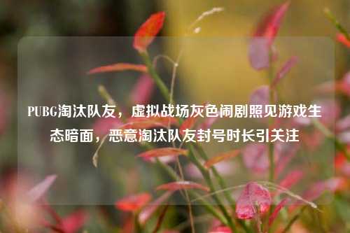PUBG淘汰队友,虚拟战场灰色闹剧照见游戏生态暗面,恶意淘汰队友封号时长引关注