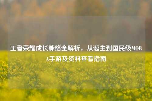 王者荣耀成长脉络全解析,从诞生到国民级MOBA手游及资料查看指南