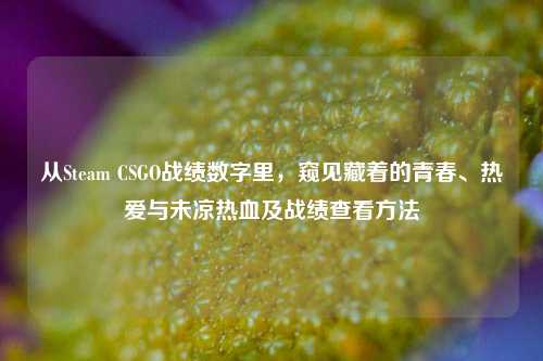 从Steam CSGO战绩数字里,窥见藏着的青春、热爱与未凉热血及战绩查看方法