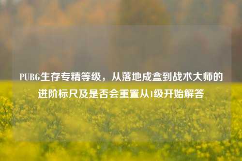 PUBG生存专精等级,从落地成盒到战术大师的进阶标尺及是否会重置从1级开始解答