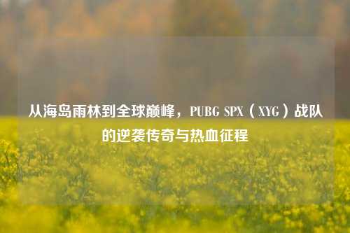 从海岛雨林到全球巅峰,PUBG SPX(XYG)战队的逆袭传奇与热血征程