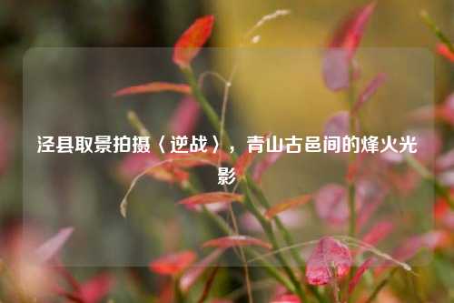 泾县取景拍摄〈逆战〉,青山古邑间的烽火光影