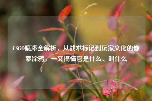 CSGO喷漆全解析,从战术标记到玩家文化的像素涂鸦,一文搞懂它是什么、叫什么