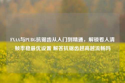 FXAA与PUBG抗锯齿从入门到精通,解锁看人清帧率稳最优设置 解答抗锯齿越高越流畅吗