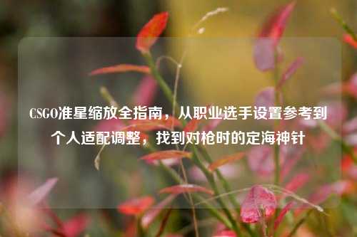 CSGO准星缩放全指南,从职业选手设置参考到个人适配调整,找到对枪时的定海神针