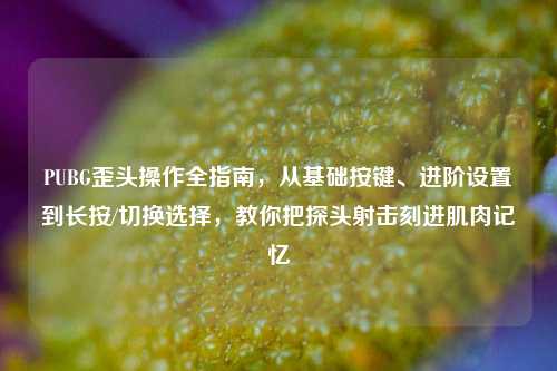 PUBG歪头操作全指南，从基础按键、进阶设置到长按/切换选择，教你把探头射击刻进肌肉记忆