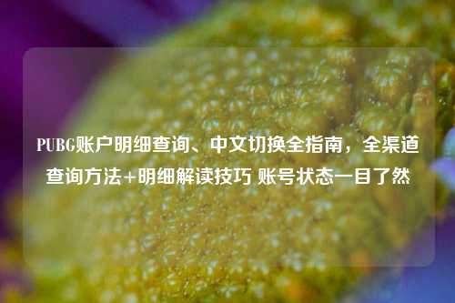 PUBG账户明细查询、中文切换全指南，全渠道查询方法+明细解读技巧 账号状态一目了然