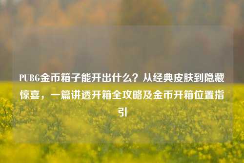 PUBG金币箱子能开出什么?从经典皮肤到隐藏惊喜,一篇讲透开箱全攻略及金币开箱位置指引