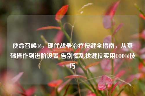 使命召唤16，现代战争治疗按键全指南，从基础操作到进阶设置 告别慌乱找键位实用COD16技巧