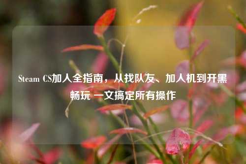 Steam CS加人全指南,从找队友、加人机到开黑畅玩 一文搞定所有操作