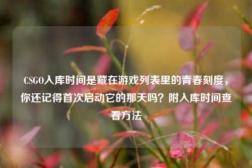 CSGO入库时间是藏在游戏列表里的青春刻度，你还记得首次启动它的那天吗？附入库时间查看方法