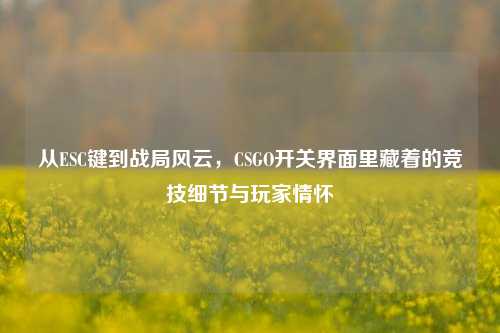 从ESC键到战局风云，CSGO开关界面里藏着的竞技细节与玩家情怀