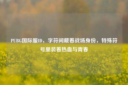 PUBG国际服ID,字符间藏着战场身份,特殊符号里装着热血与青春