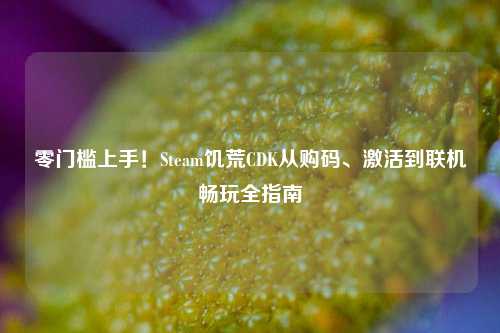 零门槛上手!Steam饥荒CDK从购码、激活到联机畅玩全指南