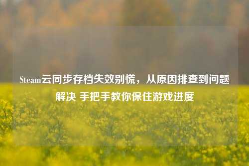 Steam云同步存档失效别慌,从原因排查到问题解决 手把手教你保住游戏进度
