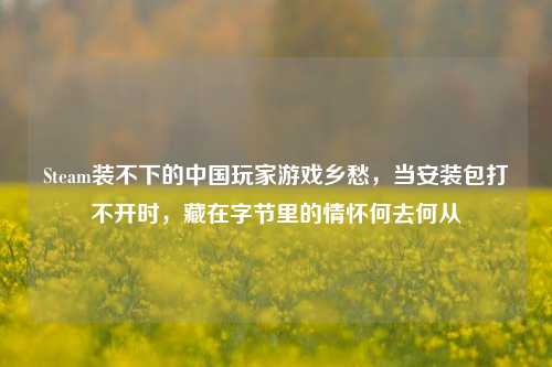 Steam装不下的中国玩家游戏乡愁，当安装包打不开时，藏在字节里的情怀何去何从