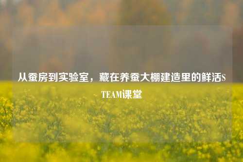从蚕房到实验室,藏在养蚕大棚建造里的鲜活STEAM课堂