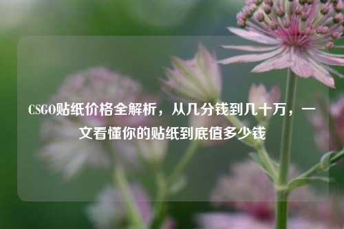 CSGO贴纸价格全解析,从几分钱到几十万,一文看懂你的贴纸到底值多少钱
