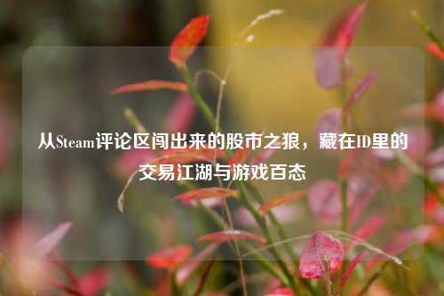从Steam评论区闯出来的股市之狼,藏在ID里的交易江湖与游戏百态