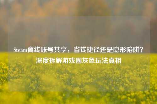 Steam离线账号共享,省钱捷径还是隐形陷阱?深度拆解游戏圈灰色玩法真相