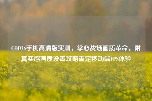 COD16手机高清版实测,掌心战场画质革命,附真实感画质设置攻略重定移动端FPS体验