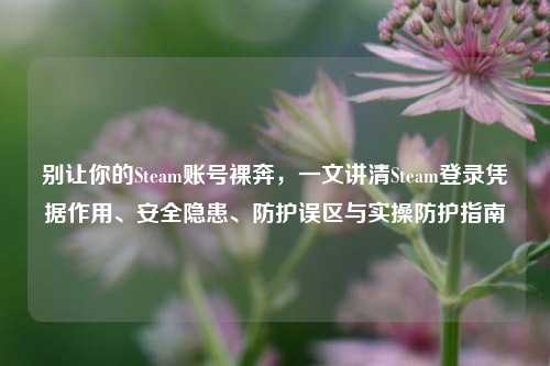 别让你的Steam账号裸奔，一文讲清Steam登录凭据作用、安全隐患、防护误区与实操防护指南