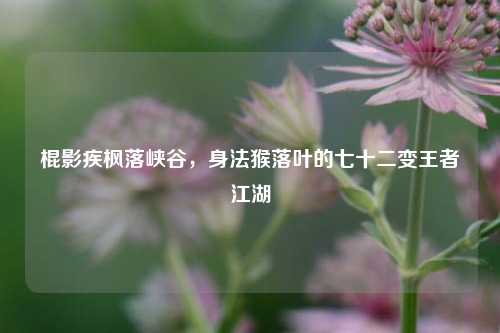 棍影疾枫落峡谷,身法猴落叶的七十二变王者江湖