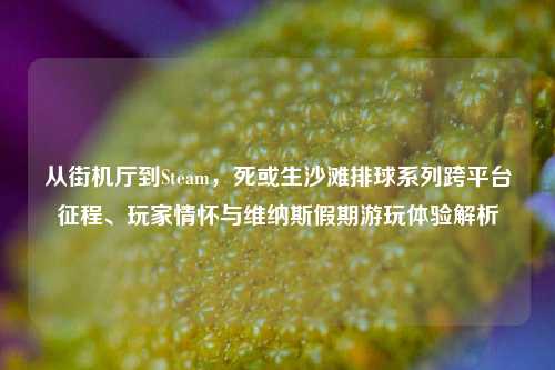 从街机厅到Steam,死或生沙滩排球系列跨平台征程、玩家情怀与维纳斯假期游玩体验解析