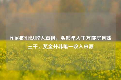 PUBG职业队收入真相,头部年入千万底层月薪三千,奖金并非唯一收入来源