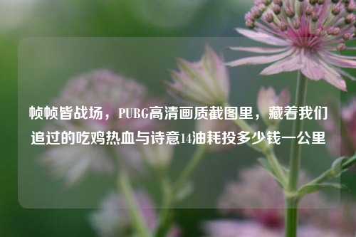 帧帧皆战场，PUBG高清画质截图里，藏着我们追过的吃鸡热血与诗意14油耗投多少钱一公里