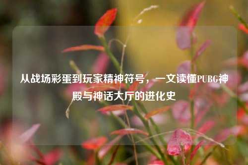 从战场彩蛋到玩家精神符号,一文读懂PUBG神殿与神话大厅的进化史