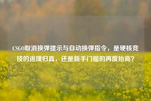 CSGO取消换弹提示与自动换弹指令,是硬核竞技的返璞归真,还是新手门槛的再度抬高?
