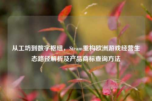 从工坊到数字枢纽,Steam重构欧洲游戏经营生态路径解析及产品商标查询方法