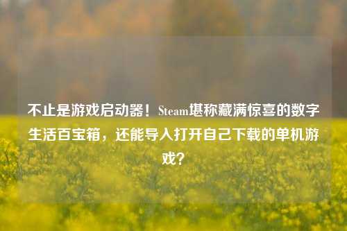 不止是游戏启动器！Steam堪称藏满惊喜的数字生活百宝箱，还能导入打开自己下载的单机游戏？