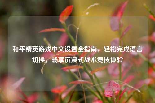 和平精英游戏中文设置全指南,轻松完成语言切换,畅享沉浸式战术竞技体验