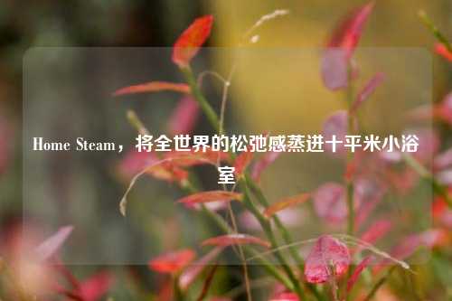 Home Steam,将全世界的松弛感蒸进十平米小浴室