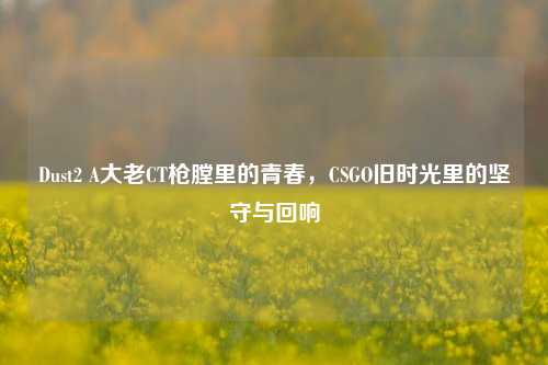 Dust2 A大老CT枪膛里的青春,CSGO旧时光里的坚守与回响