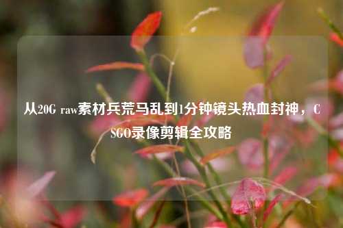 从20G raw素材兵荒马乱到1分钟镜头热血封神，CSGO录像剪辑全攻略