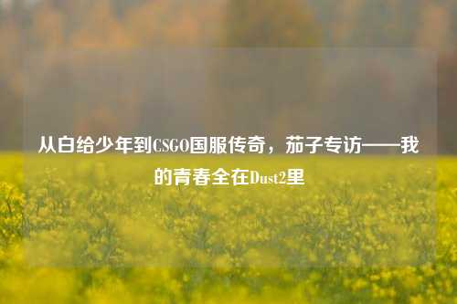 从白给少年到CSGO国服传奇,茄子专访——我的青春全在Dust2里