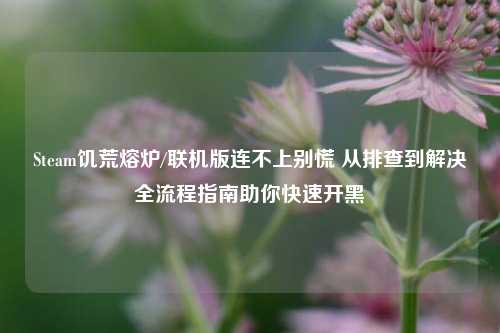 Steam饥荒熔炉/联机版连不上别慌 从排查到解决全流程指南助你快速开黑