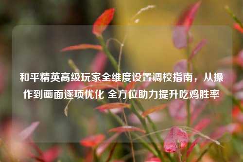 和平精英高级玩家全维度设置调校指南，从操作到画面逐项优化 全方位助力提升吃鸡胜率