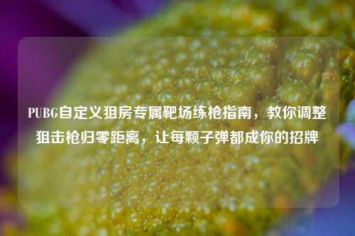 PUBG自定义狙房专属靶场练枪指南，教你调整狙击枪归零距离，让每颗子弹都成你的招牌