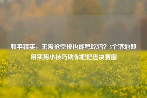 和平精英,无需抢空投也能稳吃鸡?5个落地即用实用小技巧助你把把进决赛圈