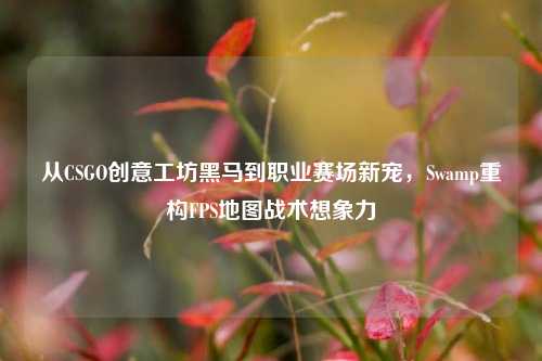从CSGO创意工坊黑马到职业赛场新宠,Swamp重构FPS地图战术想象力