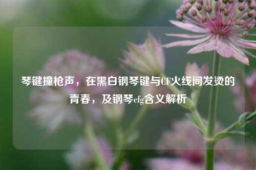 琴键撞枪声,在黑白钢琴键与CF火线间发烫的青春,及钢琴cfg含义解析