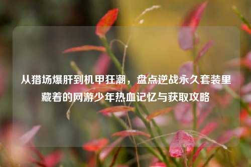 从猎场爆肝到机甲狂潮,盘点逆战永久套装里藏着的网游少年热血记忆与获取攻略