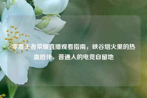 零度王者荣耀直播观看指南,峡谷烟火里的热血陪伴,普通人的电竞自留地