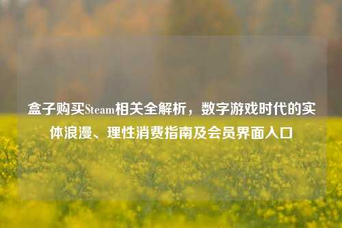 盒子购买Steam相关全解析，数字游戏时代的实体浪漫、理性消费指南及会员界面入口